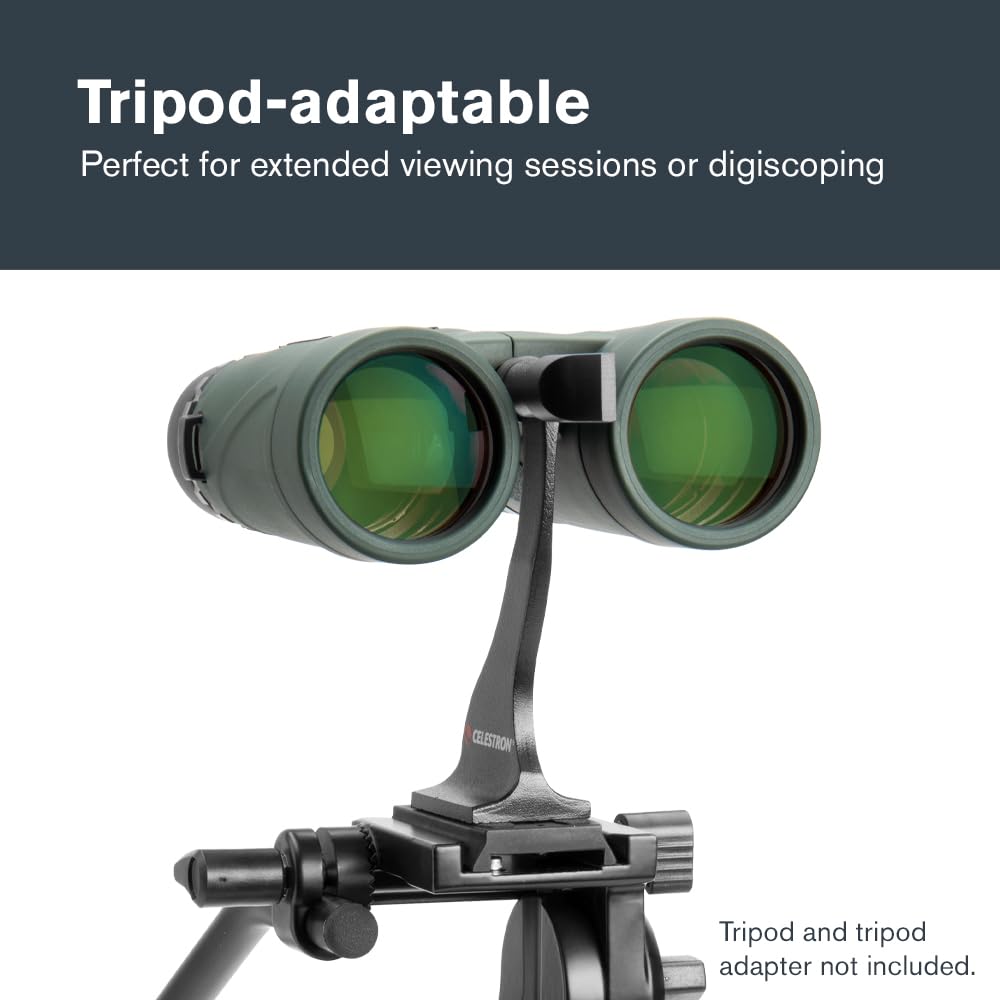 Celestron - Nature DX 10x42 Binoculars – Ideal for Birding and Outdoors – 42mm Objective Lenses – 5.8° Field of View – BaK-4 Prisms – Fully Multi-Coated – Waterproof and Fogproof