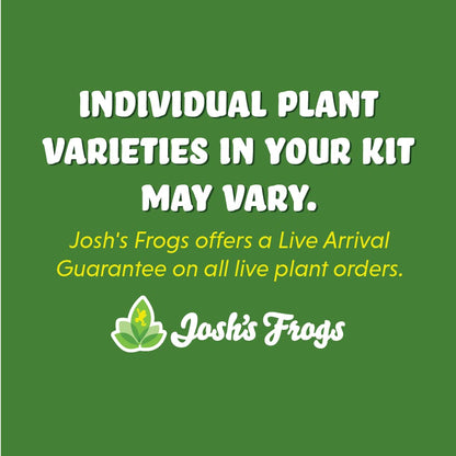 18x18x24 Day Gecko Vivarium Plant Kit