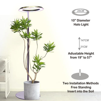 Qux 10” Halo Pro Grow Light,Full Spectrum LED Freestanting Plant Grow Lamp with 3 Kind of Light Colors switchover & 10-Level Dimmable,Auto On Off Timing 4/8/12Hrs for Indoor Larger Plants (Gold)