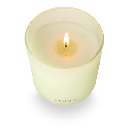 Illume Beautifully Done Borealis Moss Boxed Glass Scented Candle