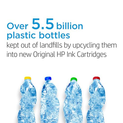 HP 65 Black Ink Cartridge for HP Printers | Works with Printer Series: AMP 100, DeskJet 2600, 3700; ENVY 5000 | Eligible for Instant Ink | N9K02AN