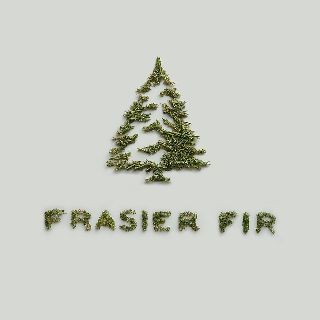 Thymes Frasier Fir Candle – Frosted Plaid Collection – Green & White Glass Jar Design – Scented Candles for Home Decor – Notes of Crisp Siberian Fir, Cedarwood & Sandalwood (Votive, 2 oz)