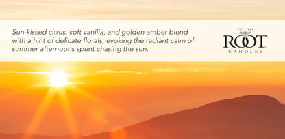 Root Candles Scented Votive Candles 20-Hour Beeswax Blend Premium Handcrafted Bulk Candle Pack, 3-Count Votives, Golden Hour