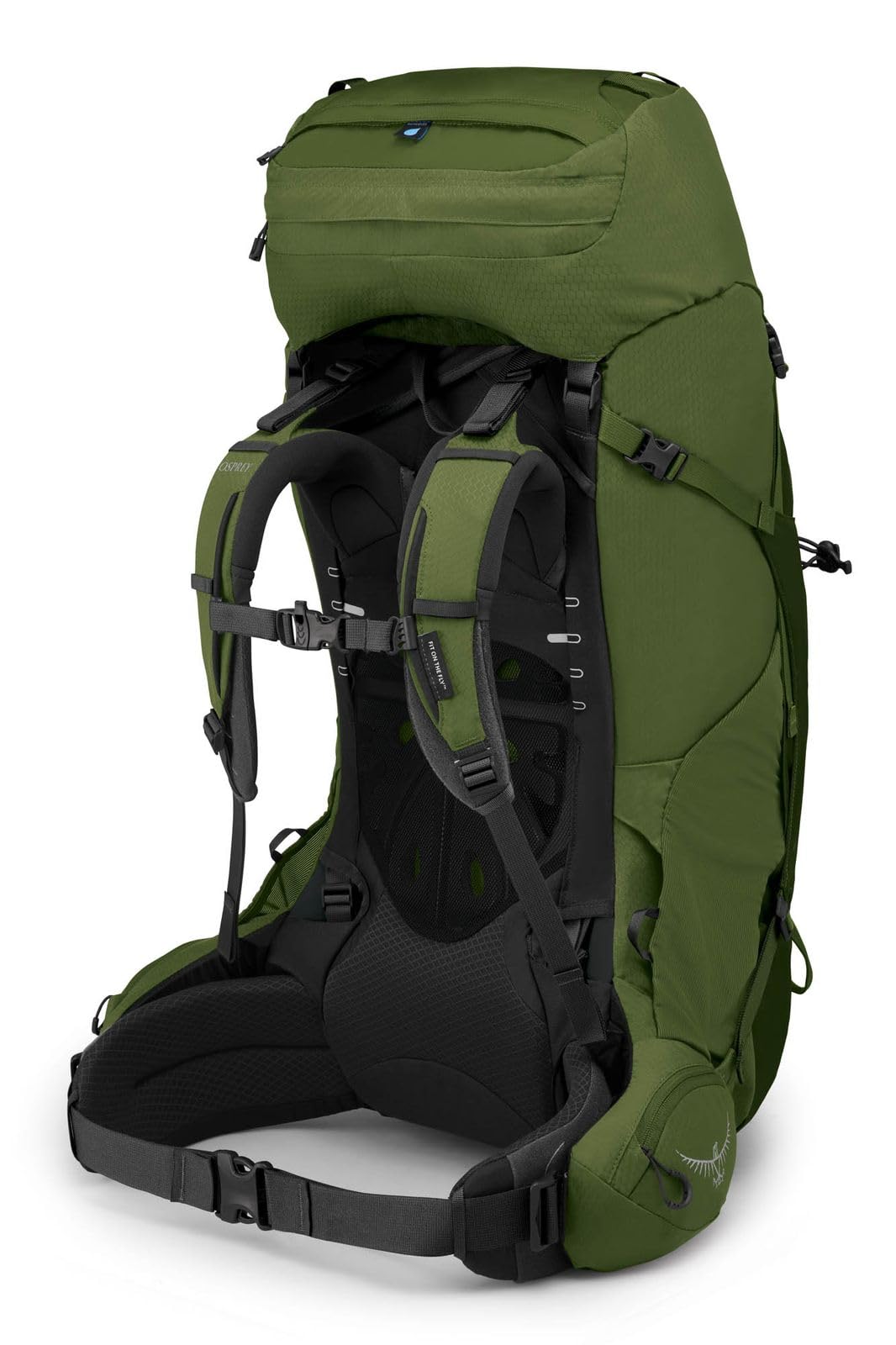 Osprey Aether 65L Men's Backpacking Backpack, Garlic Mustard Green, S/M