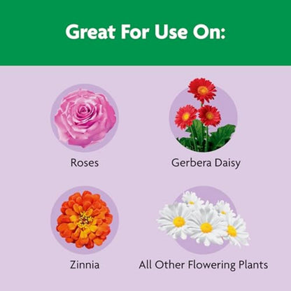 Miracle-Gro Shake 'n Feed Rose & Bloom Plant Food - Long-Lasting Granular Fertilizer, Feeds 3 Months - 4.5 lbs.