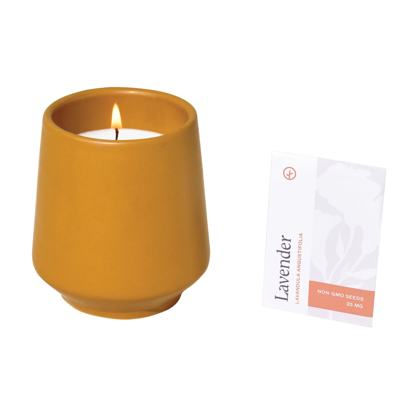 Modern Sprout - 2 in 1 Scented Candles with Seeds that Grows into Plants - 6 oz Soy Candle with 42 hr Burn time in Matte Glaze Ceramic Vessel - Rosemary, Thyme, & Lavender - Pack of 3