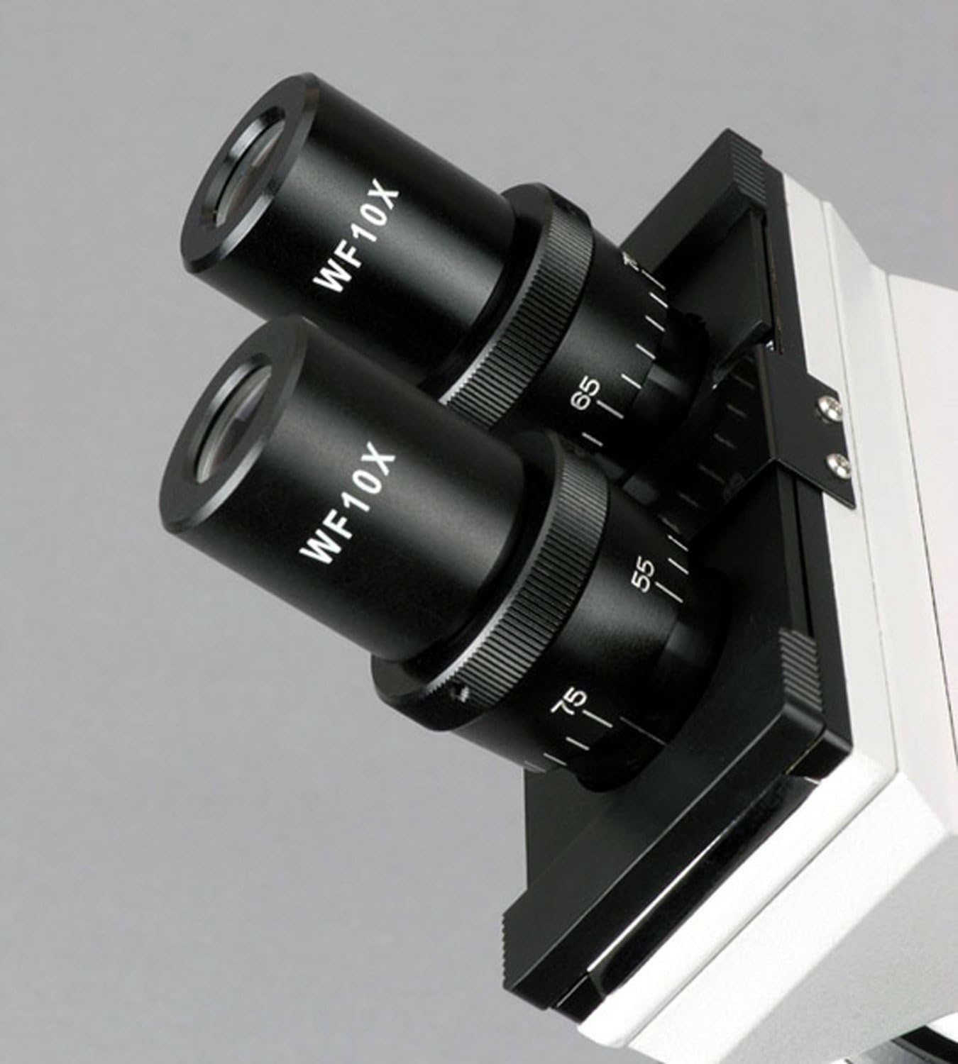 AmScope B100C-SP14-CLS-50P100S Binocular Biological Microscope 40X-2500X with Extensive Slide Preparation Kit, LED Light Source