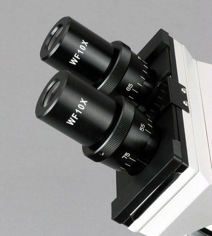 AmScope B100C-SP14-CLS-50P100S Binocular Biological Microscope 40X-2500X with Extensive Slide Preparation Kit, LED Light Source
