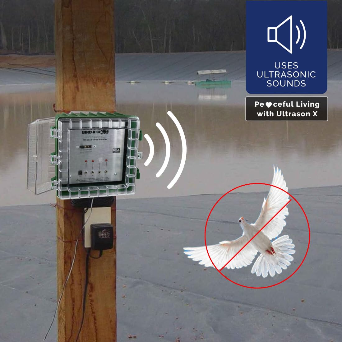 Ultrason X, 110v