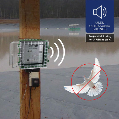 Ultrason X, 110v