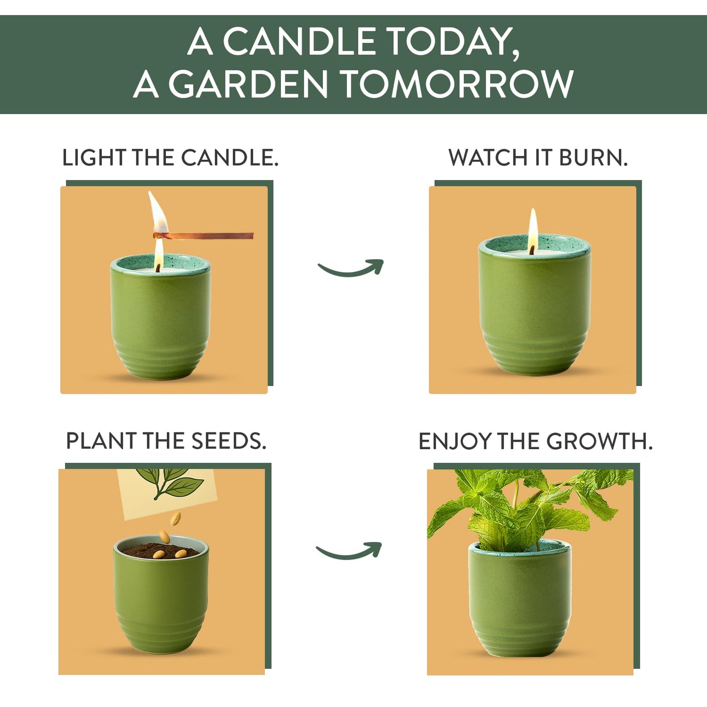 Modern Sprout - 2-in-1 Soy Candle & Planter - in The Weeds (Eucalyptus, Pink Pepper, Patchouli, Citrus) 6 Oz Scented Candle w/Mint Seeds - Ceramic Vessel Dual Purpose Jar - 38-40 Hour Burn