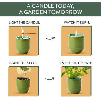 Modern Sprout - 2-in-1 Soy Candle & Planter - in The Weeds (Eucalyptus, Pink Pepper, Patchouli, Citrus) 6 Oz Scented Candle w/Mint Seeds - Ceramic Vessel Dual Purpose Jar - 38-40 Hour Burn