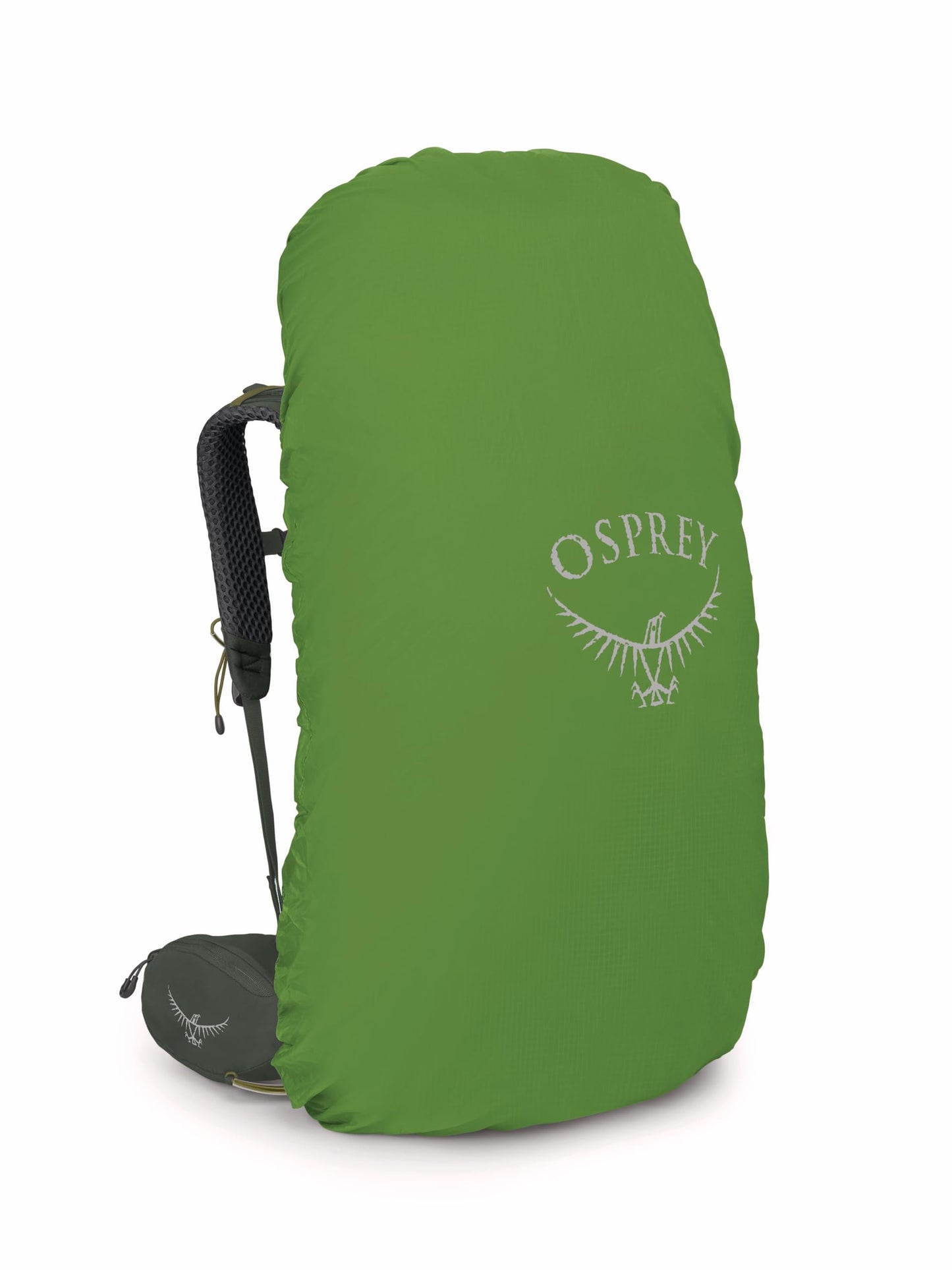 Osprey Kestrel 68L Men's Backpacking Backpack, Bonsai Green, L/XL