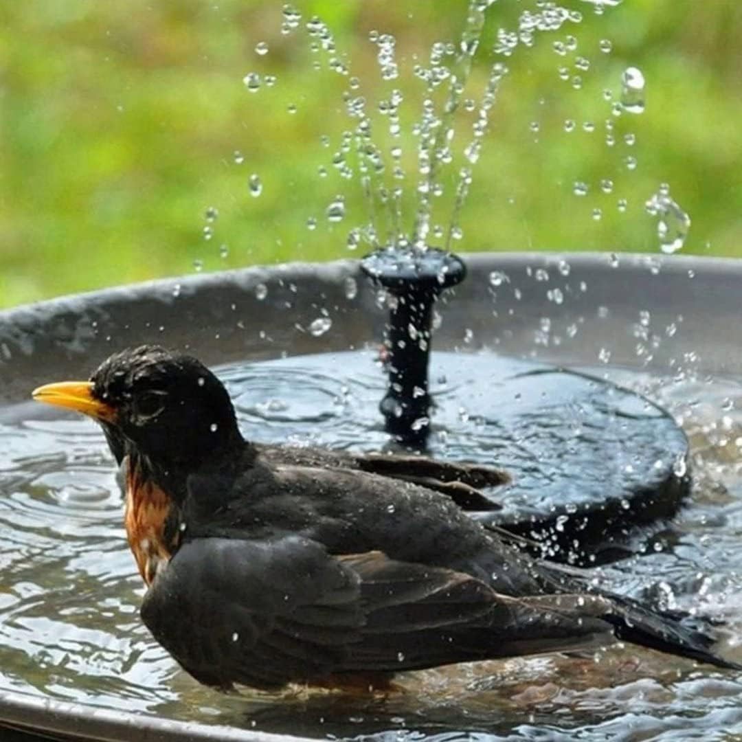 Skiennix Solar Fountain - Solar Powered Bird Bath Pump with 4 Nozzles | 1.4W Outdoor Water Feature for Garden & Pond