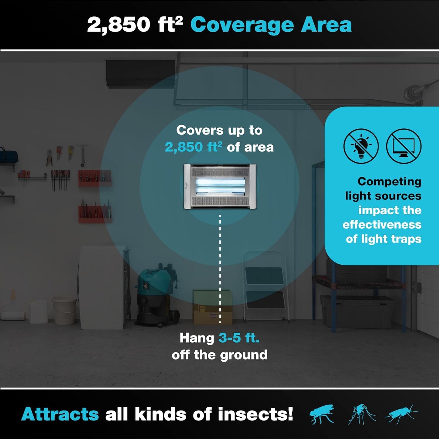 Catchmaster Vector Plasma Screened Trap & Replacement Boards Set, Compact UV Light Fly Trap for Home, Traps for House Indoor, Shatterproof Bulbs, UV Lamp Insect Killer, 12-Pk Black Replacement Boards
