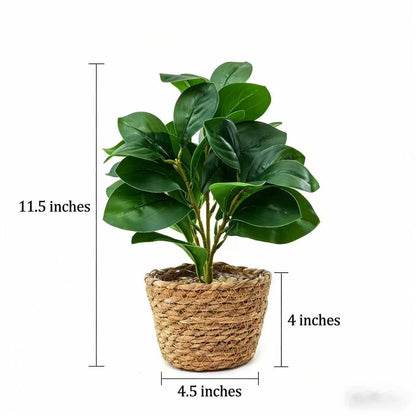 Ewtogift Fake Eucalyptus Plants 14.5 Inches Tall Artificial Eucalyptus Indoor Plants with Green Lifelike Leaves in Black Gray Pot for Home House Outdoor Decor Porch Pots Planter Decorations (Plant A)