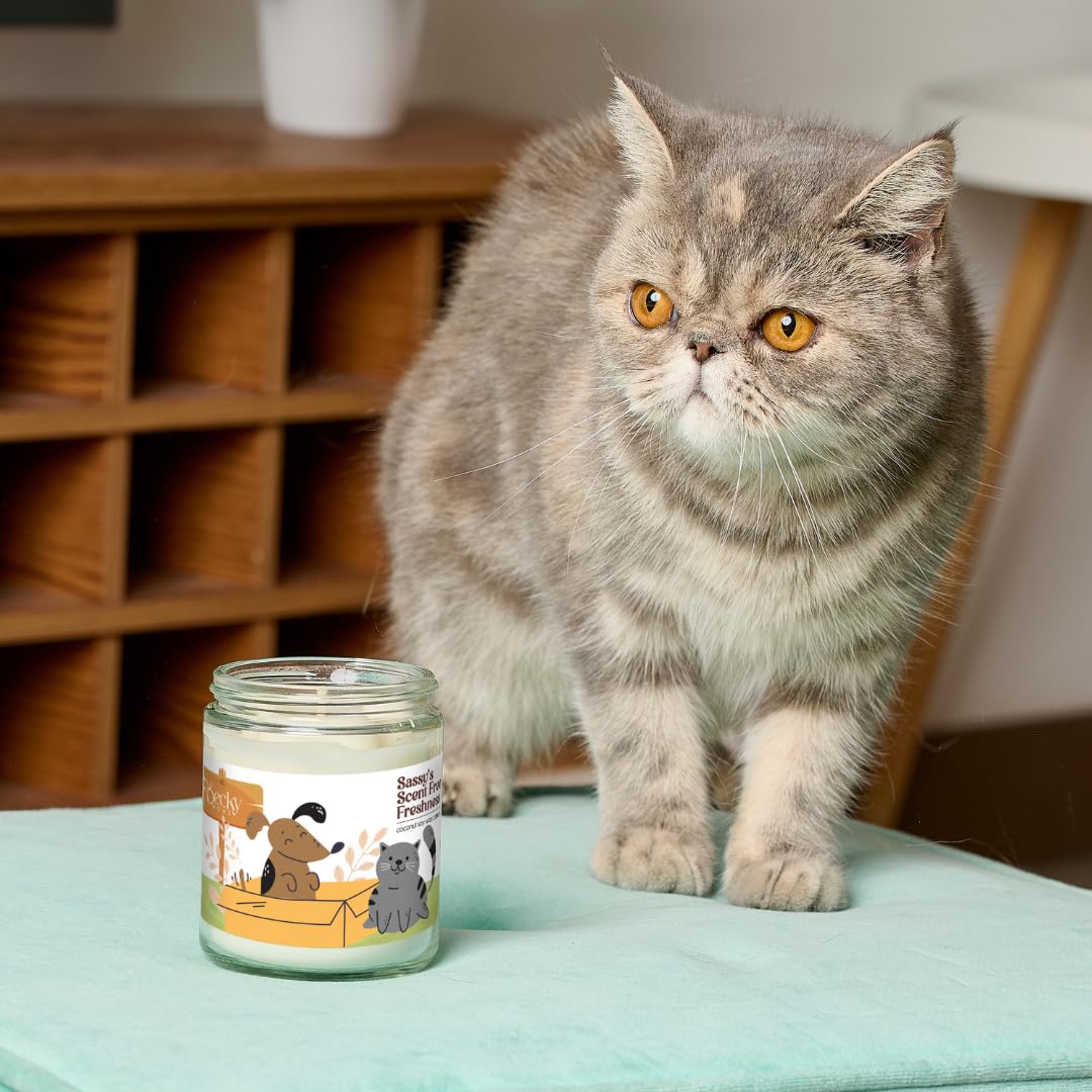 Becky Home 9oz Pet Odor Eliminator Deodorizer Candle, Long-Lasting Unscented, Non Toxic, Scentless Natural Plant-Based Wax Blend