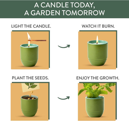 Modern Sprout - 2-in-1 Soy Candle & Planter - 3-Pack Indoor Set (Violet Hour, in The Weeds, Golden Moments) 6 Oz Scented Candles with Lavender, Sage & Mint Seeds – 38–40 Hr Burn Each