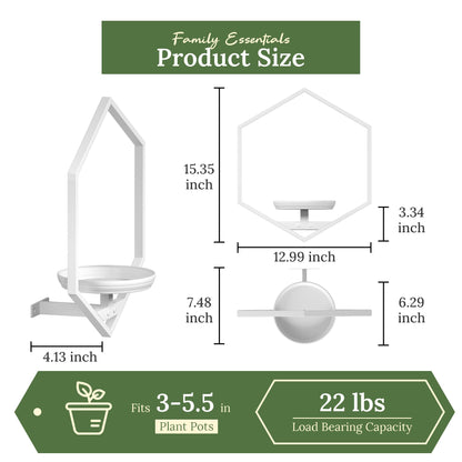 BXF Hexagon Floating Frame Plant Stand - 2 Pack Metal Wall Mounted Planters - Minimalist Geometric Hanging Decor for Indoor Succulents & Air Plants,White