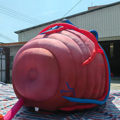 Outdoor Inflatable Human Heart Model Replica Tent, 13ftx10fx9ft Heart Inflatable Medical Exhibit with Blower, for Halloween, Educational Medical Exhibit