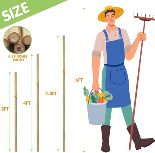 GAGINANG Bamboo Garden Stakes - 4.8FT Sturdy Natural Support for Tomatoes, Vegetables & Climbing Plants - 20 Pcs