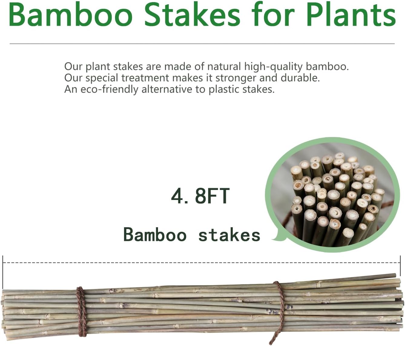Bamboo Stakes - Eco-Friendly Plant Support Poles for Tomatoes, Beans & Flowers | 50-Pack, 4.8FT Height