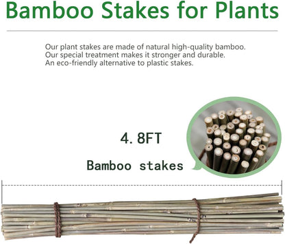 Bamboo Stakes - Eco-Friendly Plant Support Poles for Tomatoes, Beans & Flowers | 50-Pack, 4.8FT Height