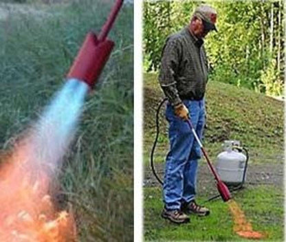 Red Dragon VT3-30C Heavy Duty Vapor Torch Kit, 500,000 BTU Propane Weed Burner with 3-Inch Bell, 33.5-Inch Length, 30 PSI Operating Pressure for Farm, Ranch, and Industrial Use