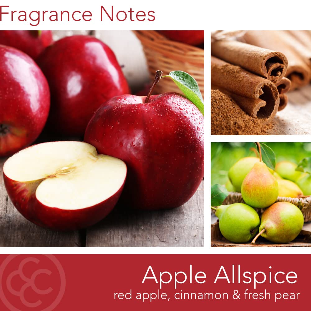 Colonial Candle Apple Allspice Scented Jar Candle, Classic Cylinders Collection, 2 Wick, Red, 11 oz - Up to 80 Hours Burn