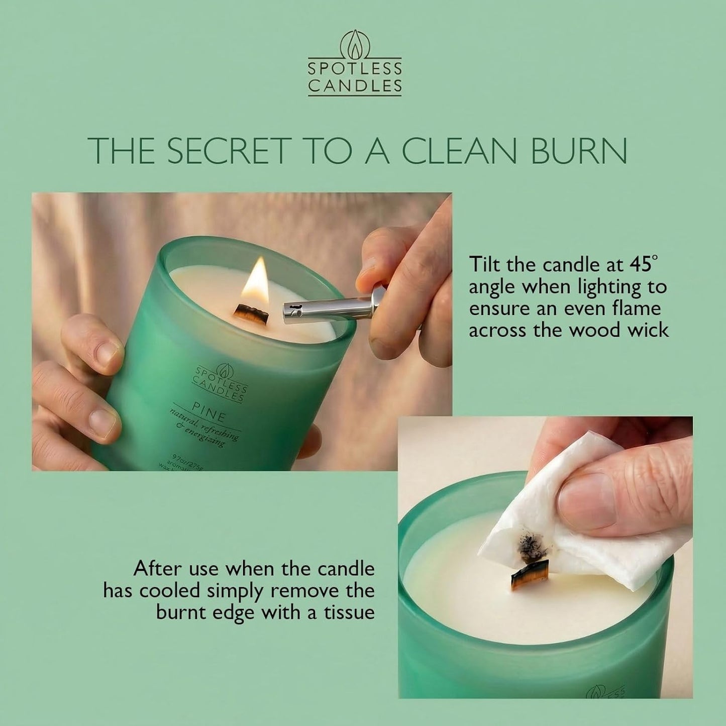 Pine Candle 9.7 oz: 55 Hrs Burn Time - Pine Scented Candles in Frosted Glass Jar with Wooden Crackling Wick in a Luxurious Gold Foil Lined Gift Box