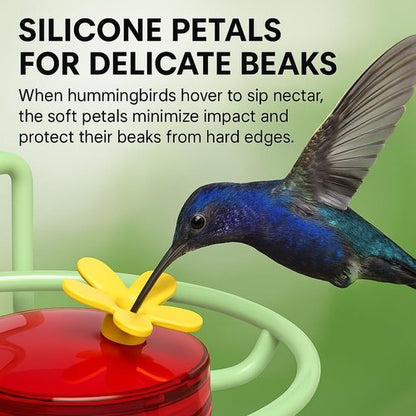 Dreamdrawer Hummingbird Feeder - Small Outdoor Feeder with Strong Suction Cup, Metal Base & 6 Ports