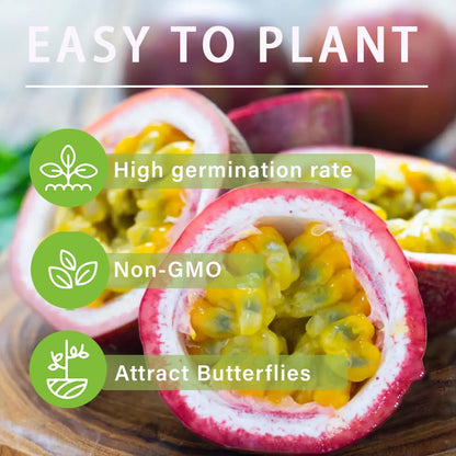 15+ Tropical Passion Fruit Seeds for Planting Outdoors-Non GMO Passiflora for Bonsai Backyard Country