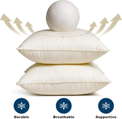 Skiennix 18 x 18 Throw Pillow Inserts - Soft Plush Virgin Fiber Filling | Decorative Couch Sofa Bed Pillows - White, Pack of 2