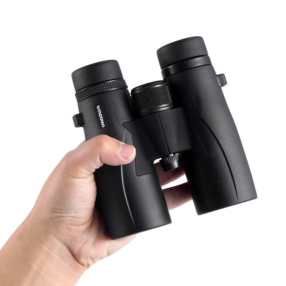 Wingspan Optics Skyview Ultra HD - 8X42 Binoculars for Bird Watching for Adults with ED Glass. Waterproof, Wide Field of View, Close Focus. Experience Better and Brighter Bird Watching in Ultra HD