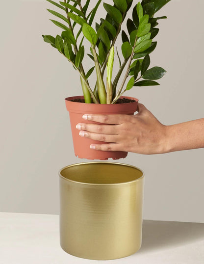 Vixdonos Metal Flower Pots Garden Planters Indoor Round Succulent Containers, Pack 2 Cactus Plant Pots with Drainage Hole (5.9inch+6.7inch, Gold)