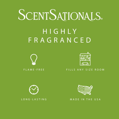 Scentsationals Wax Melts, Wax Cubes Strong Scent - Cucumber Melon - Long Lasting Scented Melts for Warmer, 10 oz (24-Cubes)