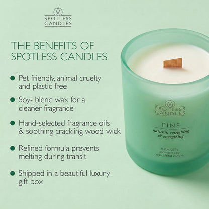 Pine Candle 9.7 oz: 55 Hrs Burn Time - Pine Scented Candles in Frosted Glass Jar with Wooden Crackling Wick in a Luxurious Gold Foil Lined Gift Box