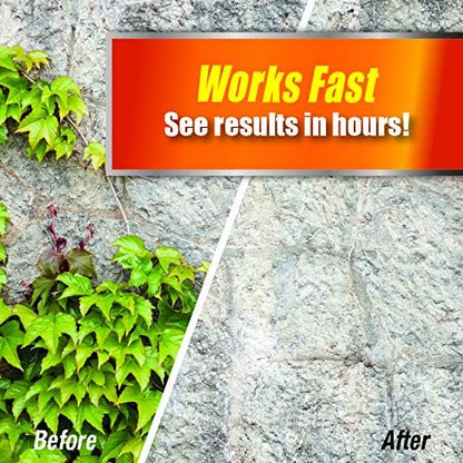 Pulverize Weed Brush & Vine Killer - Fast Acting, Non-Staining Herbicide for Poison Ivy & Weeds | 32 oz.