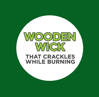 Coleman Scented Outdoor Citronella Candle with Wooden Crackle Wick - 6 oz (Pack of 6)