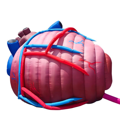 Outdoor Inflatable Human Heart Model Replica Tent, 13ftx10fx9ft Heart Inflatable Medical Exhibit with Blower, for Halloween, Educational Medical Exhibit