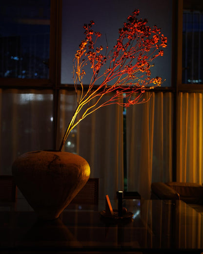 HALO EDITION Mag 2 Sunset Lamp - The Original - Portable Battery Light, Designed by Mandalaki in Italy, Dimmable LED Lamp, Flashlight, Magnetic System, USB-C Cable, Suspension Kit, IP54, 142x28 mm