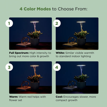 AeroGarden Stem Grow Light for Indoor Plants, Grow Live Plants Anywhere in the Home, Adjustable Light Modes, Black