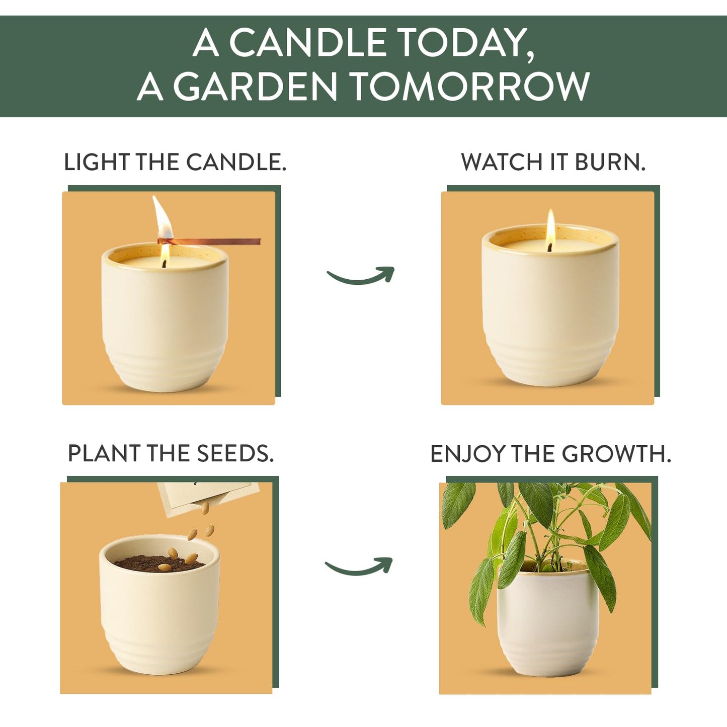 Modern Sprout - 2-in-1 Soy Candle & Planter - Golden Moments (Cali Lemon, Amber, Moss) 6 Oz Scented Candle with Sage Seeds - Dual Purpose Jar - 38-40 Hour Burn – Perfect Plant Lovers Gift