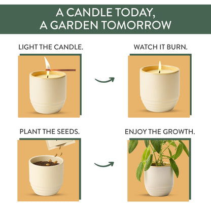 Modern Sprout - 2-in-1 Soy Candle & Planter - Golden Moments (Cali Lemon, Amber, Moss) 6 Oz Scented Candle with Sage Seeds - Dual Purpose Jar - 38-40 Hour Burn – Perfect Plant Lovers Gift