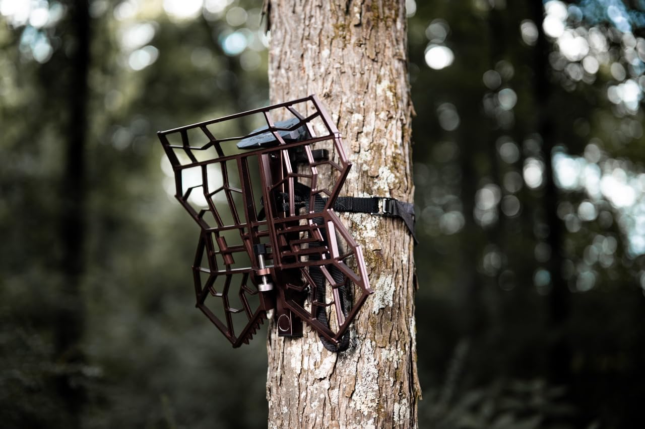 Hunter Safety System Legend Platform: Premium Hunting Gear for Tree Stand & Saddle Hunting - Ultimate Comfort, 360 Mobility, Superior Traction, Hunting Accessories for Deer Stand