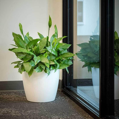 Greenline Manufacturing Memphis 13" Round Indoor Floor Planter Pot – Lightweight & Durable Plastic, Modern Design, Made in USA, Recyclable Large Plant Container for Home & Office Décor (White)