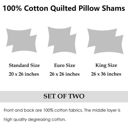 WINLIFE 100% Cotton Quilted Pillow Sham Floral Printed Pillow Cover Set of 2 (Standard Size, Coffee)
