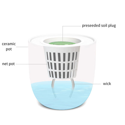 Environet Hydroponic Herb Growing Kit, Self-Watering Kitchen Herb Garden Starter Kit with Organic Seeds (Lavender)