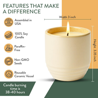 Modern Sprout - 2-in-1 Soy Candle & Planter - 3-Pack Indoor Set (Violet Hour, in The Weeds, Golden Moments) 6 Oz Scented Candles with Lavender, Sage & Mint Seeds – 38–40 Hr Burn Each