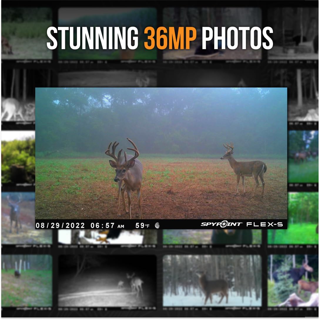 SPYPOINT FLEX-S Solar Outdoor Cellular Trail Camera - Integrated Solar Panel, No WiFi Needed, Hunting & Game Camera with Night Vision Motion Activated, Dual-Sim LTE, 36MP Photos, 1080p Videos + Sound